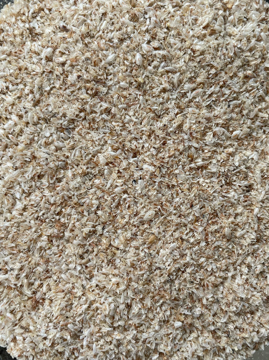 Psyllium