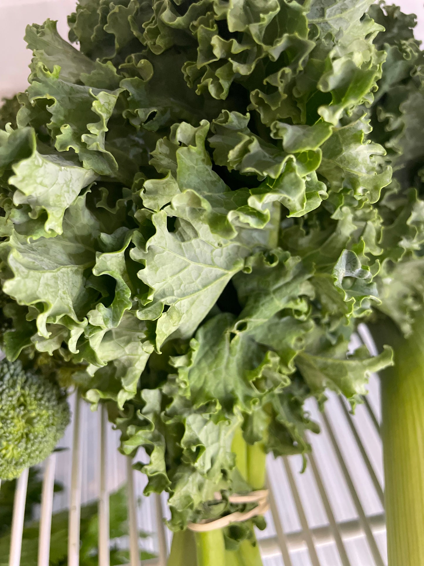 Kale orgánico, Bio Huerto Karintia, 150g