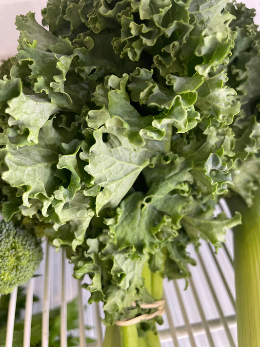 Kale orgánico, Bio Huerto Karintia, 150g