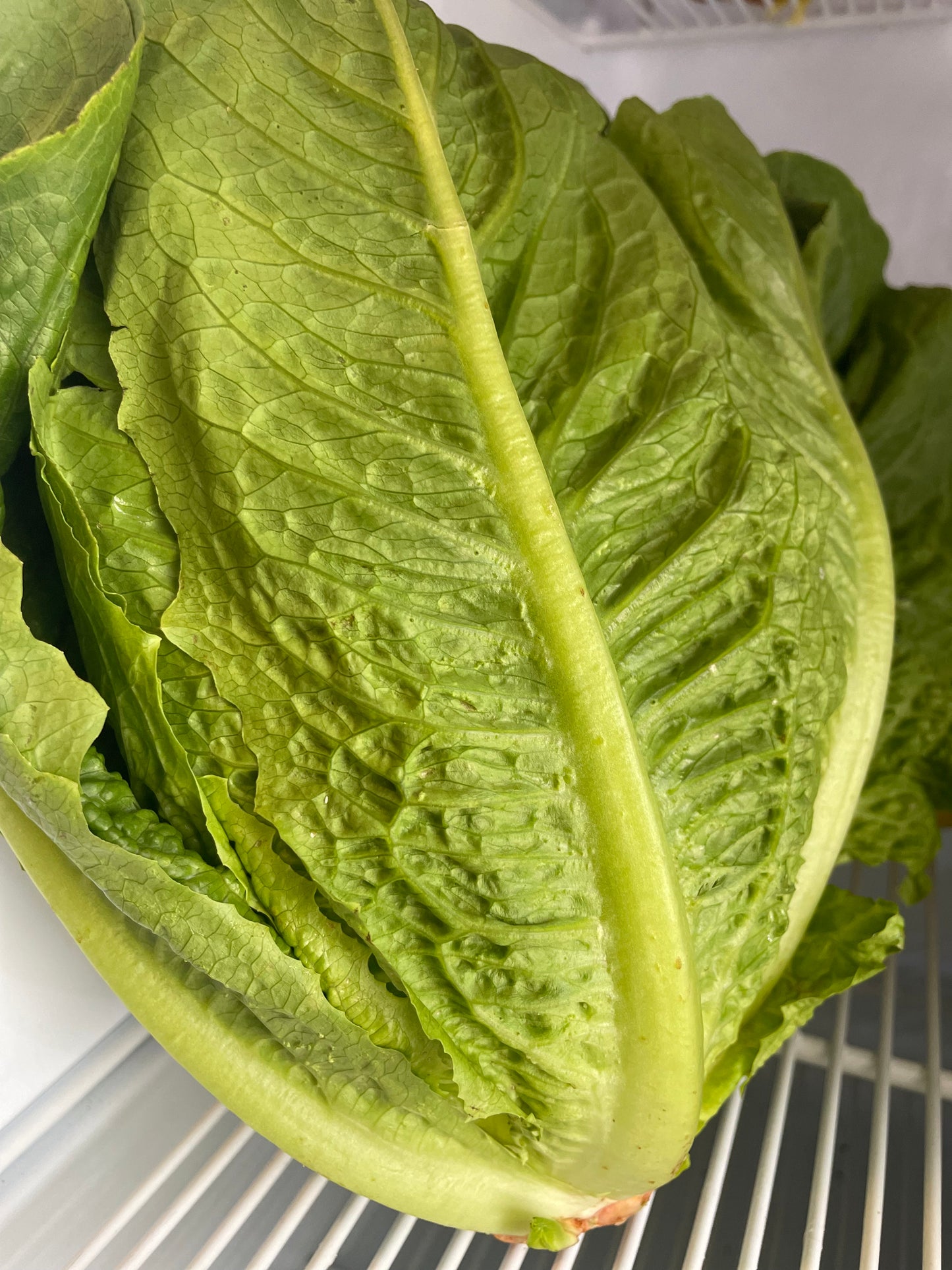 Lechuga romana orgánica, Bio Huerto Karintia, 200g