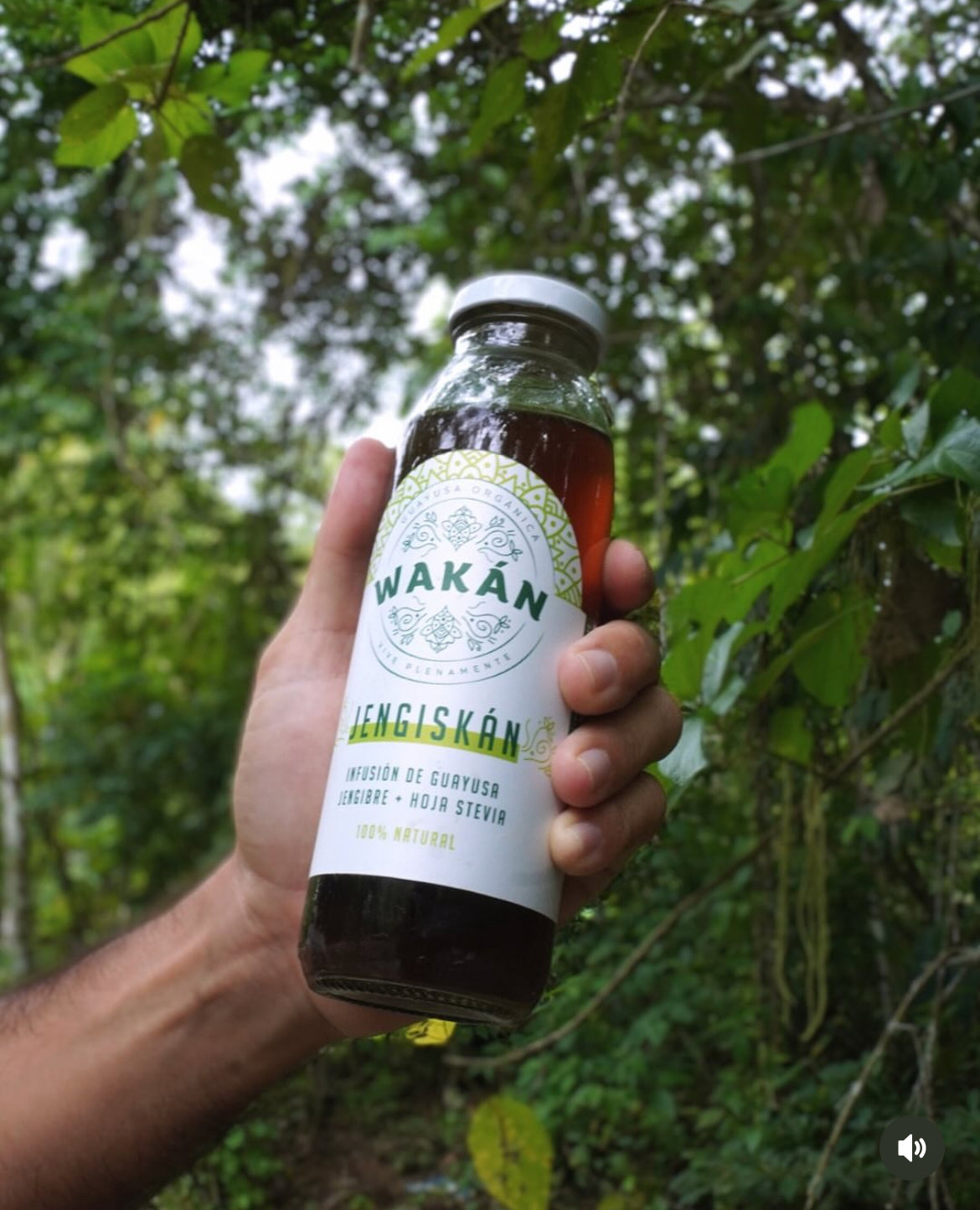 Infusión de Guayusa, Wakan, 300ml