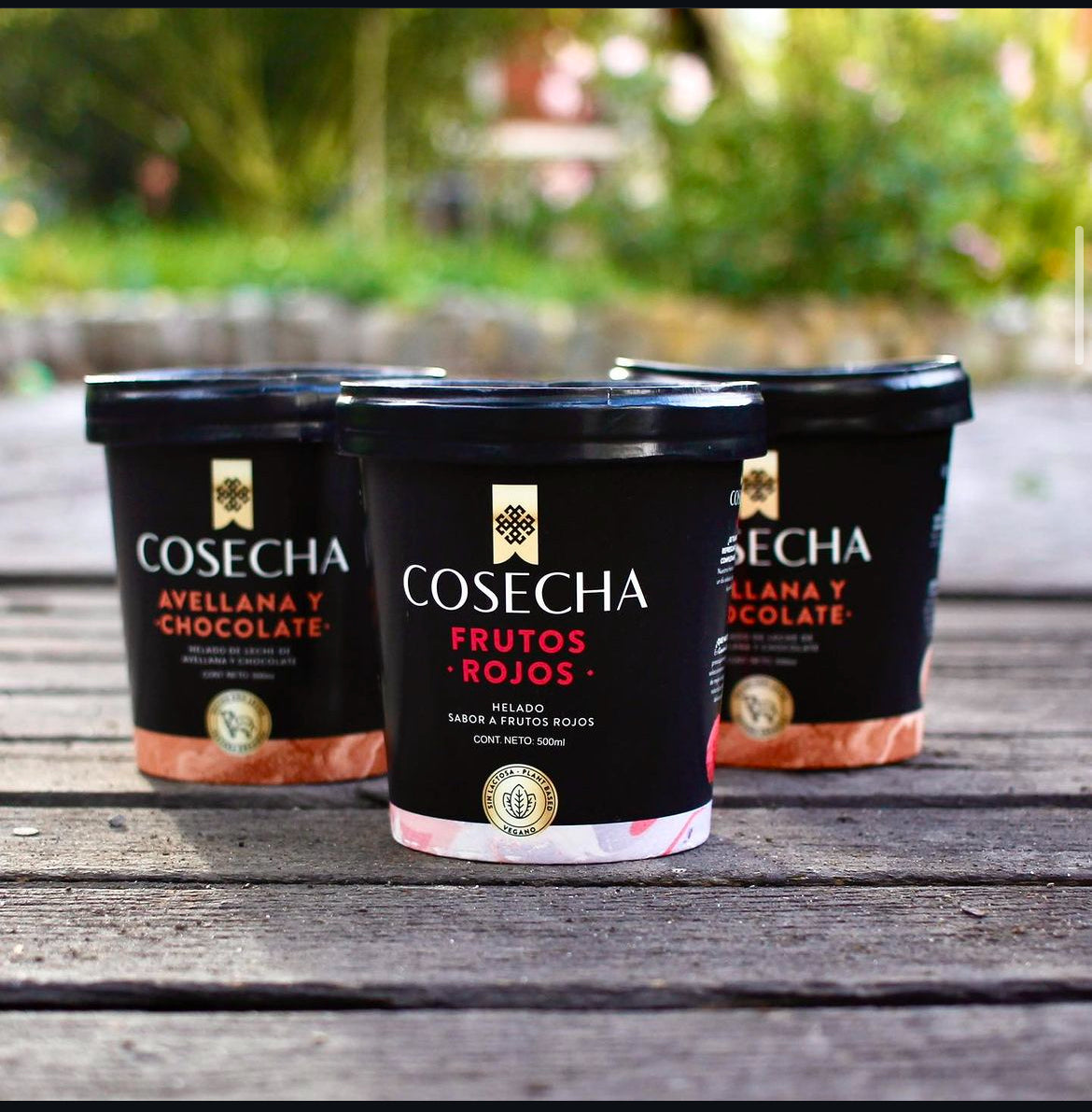 Helados de 1/2 Litro, Cosecha Gourmet