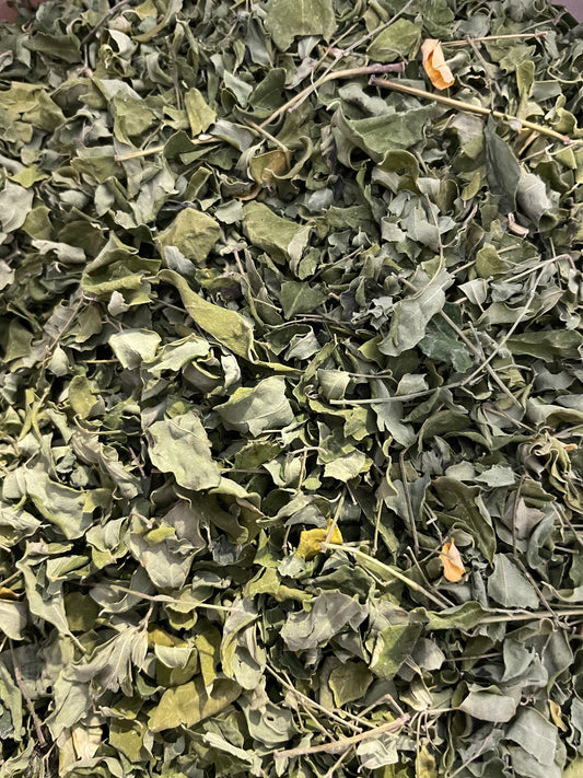 Moringa